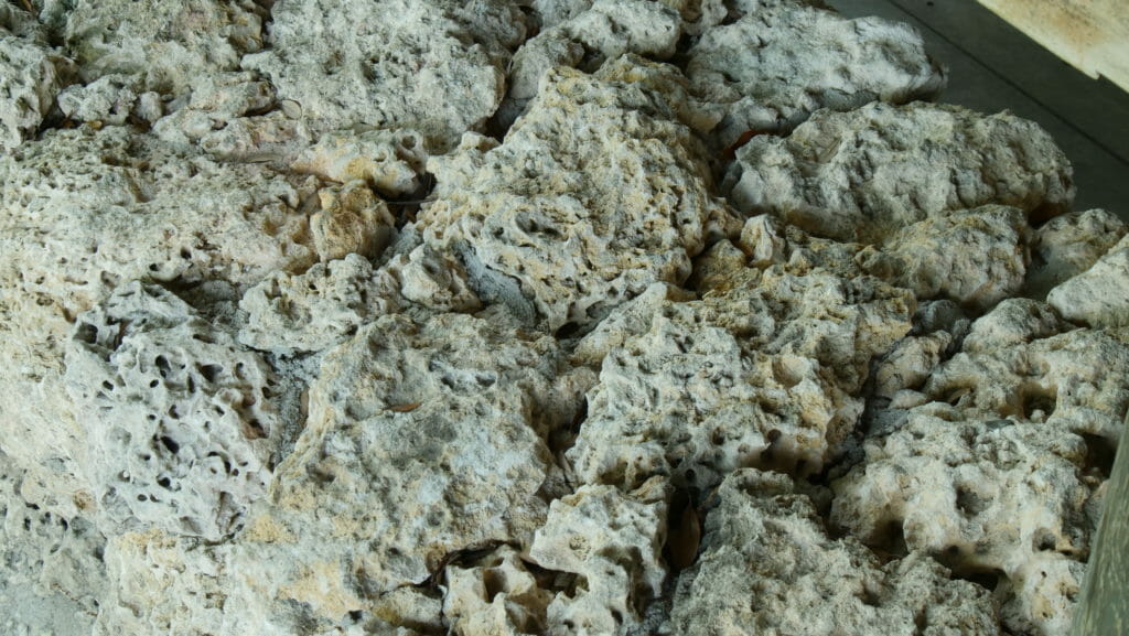 Limestone as a foundation to invest in Miami